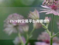 FXCM的交易平台有哪些？