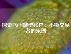 探索FXCM微型账户：小额交易者的乐园