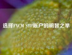 选择FXCM STP账户的明智之举