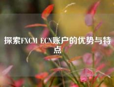 探索FXCM ECN账户的优势与特点