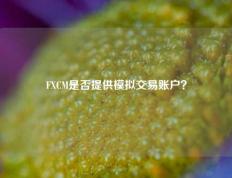 FXCM是否提供模拟交易账户？