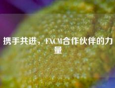 携手共进，FXCM合作伙伴的力量