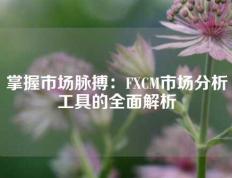 掌握市场脉搏：FXCM市场分析工具的全面解析