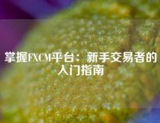 掌握FXCM平台：新手交易者的入门指南