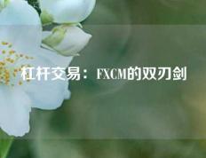 杠杆交易：FXCM的双刃剑