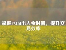 掌握FXCM出入金时间，提升交易效率