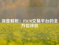 深度解析：FXCM交易平台的全方位评价