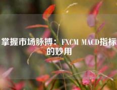 掌握市场脉搏：FXCM MACD指标的妙用