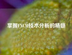 掌握FXCM技术分析的精髓