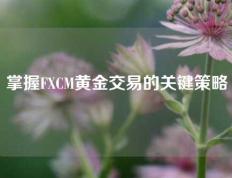 掌握FXCM黄金交易的关键策略