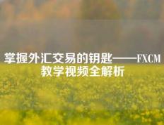 掌握外汇交易的钥匙——FXCM教学视频全解析