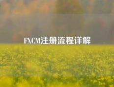 FXCM注册流程详解