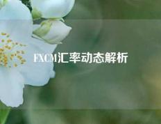 FXCM汇率动态解析