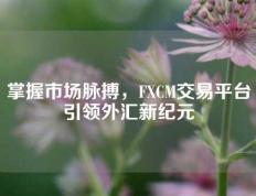 掌握市场脉搏，FXCM交易平台引领外汇新纪元