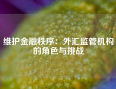 维护金融秩序：外汇监管机构的角色与挑战