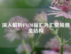 深入解析FXCM福汇外汇交易佣金结构