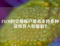 FXCM的交易账户是否支持多种货币存入和提取？