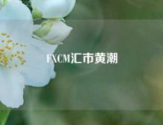 FXCM汇市黄潮