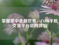 掌握掌中金融世界：FXCM手机交易平台官网体验