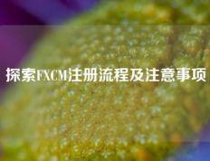 探索FXCM注册流程及注意事项