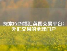 探索FXCM福汇英国交易平台：外汇交易的全球门户