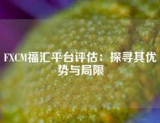 FXCM福汇平台评估：探寻其优势与局限