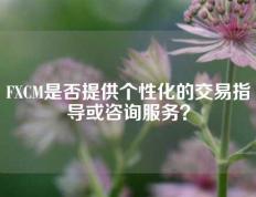 FXCM是否提供个性化的交易指导或咨询服务？