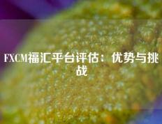 FXCM福汇平台评估：优势与挑战