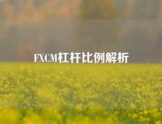 FXCM杠杆比例解析