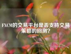 FXCM的交易平台是否支持交易策略的回测？