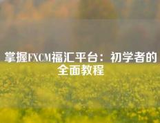 掌握FXCM福汇平台：初学者的全面教程