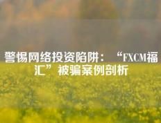 警惕网络投资陷阱：“FXCM福汇”被骗案例剖析