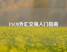 FXCM外汇交易入门指南