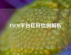 FXCM平台杠杆比例解析