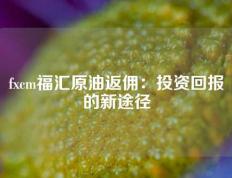 fxcm福汇原油返佣：投资回报的新途径