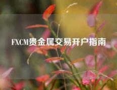 FXCM贵金属交易开户指南