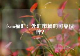 fxcm福汇：外汇市场的可靠伙伴？