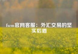 fxcm官网客服：外汇交易的坚实后盾