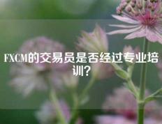 FXCM的交易员是否经过专业培训？