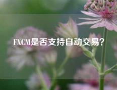 FXCM是否支持自动交易？