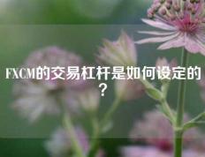 FXCM的交易杠杆是如何设定的？