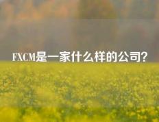 FXCM是一家什么样的公司？