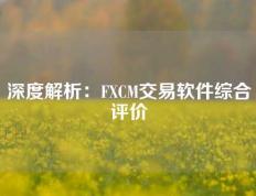 深度解析：FXCM交易软件综合评价