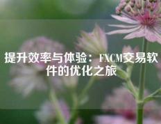 提升效率与体验：FXCM交易软件的优化之旅