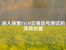 深入探索FXCM交易信号测试的实践价值