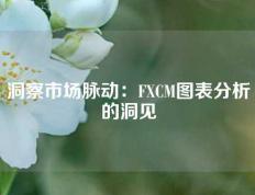 洞察市场脉动：FXCM图表分析的洞见