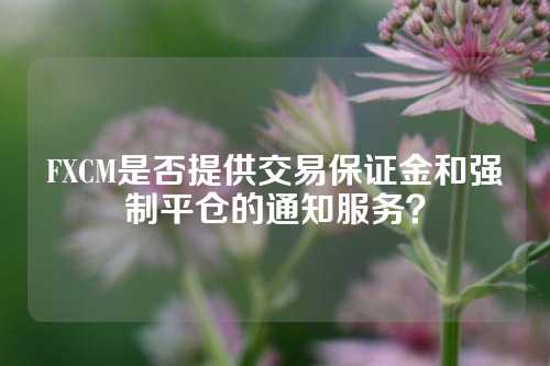 FXCM是否提供交易保证金和强制平仓的通知服务？