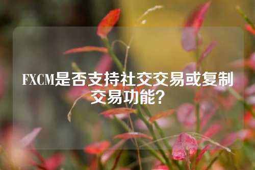 FXCM是否支持社交交易或复制交易功能？