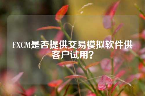 FXCM是否提供交易模拟软件供客户试用？