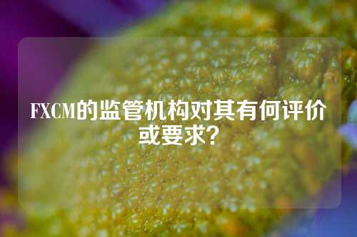 FXCM的监管机构对其有何评价或要求？